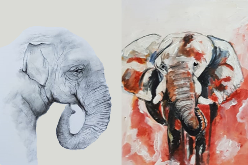 zeichnung elefant 01