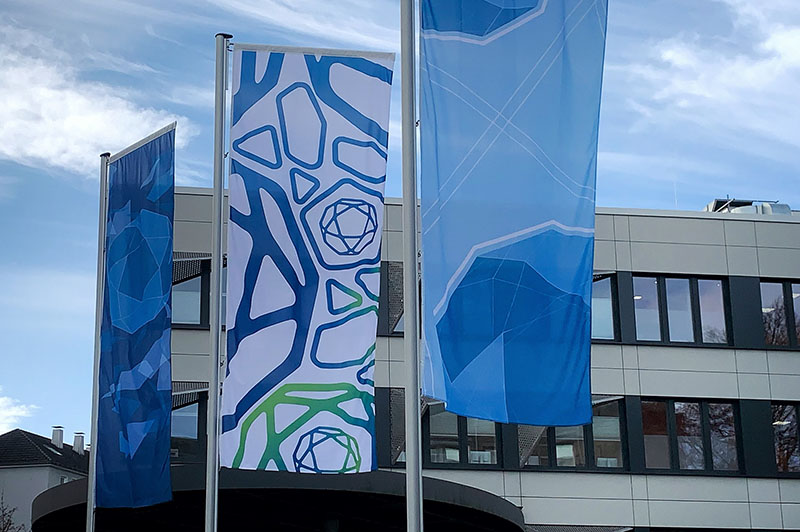 Berufskolleg am Haspel, Fahnen, Eingangsbereich, Haspeler Straße